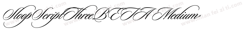 SloopScriptThreeBETA Medium字体转换